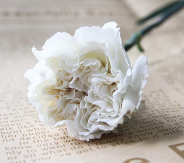 白色康乃馨的花语是什么 纯洁的友谊