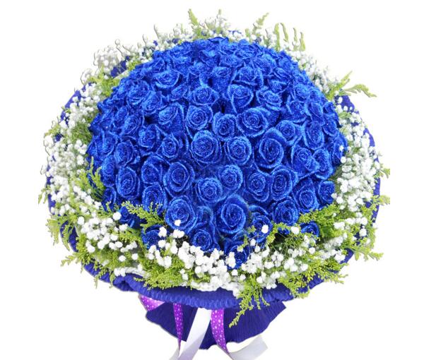 蓝玫瑰多少钱一枝,蓝玫瑰多少钱一束(枝数决定总价)
