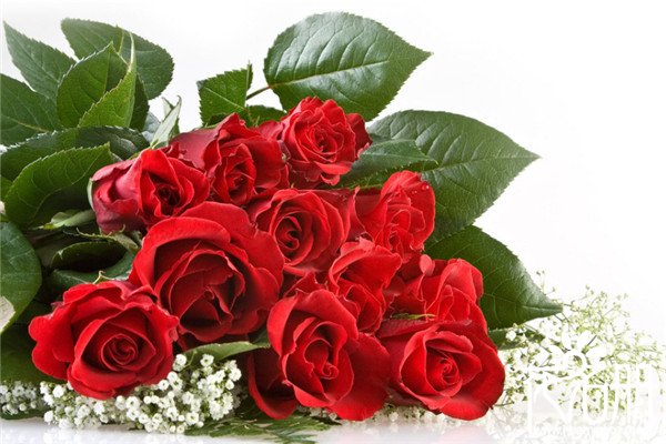 29朵玫瑰代表爱到永远
