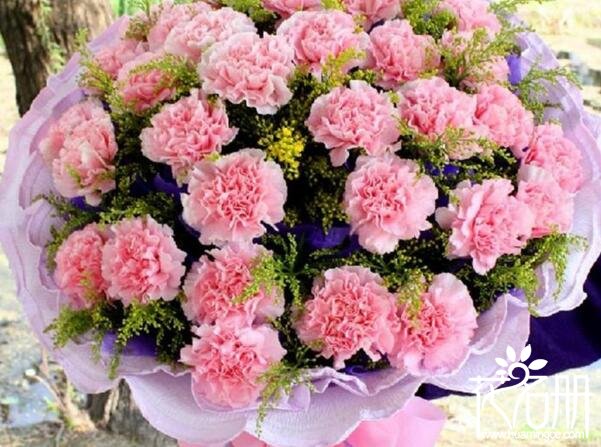 适合送给老师的花有哪些 7种最适合送给老师的花(灯笼花代表感恩)
