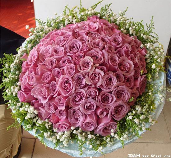 99朵紫色玫瑰花