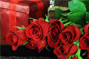 圣诞节送什么花，圣诞节送多少只花（玫瑰最能表达爱意）