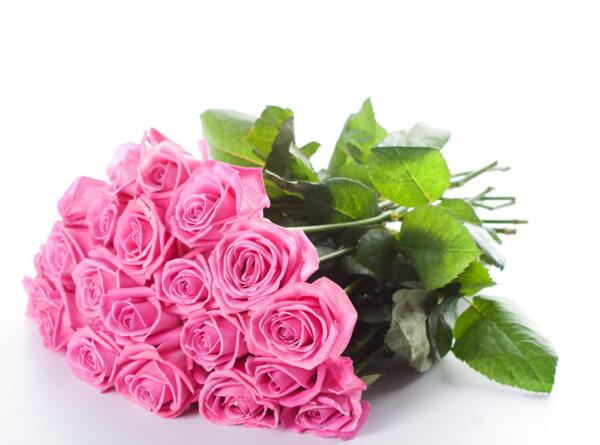 粉色玫瑰代表什么意思,喜欢你那灿烂的笑容
