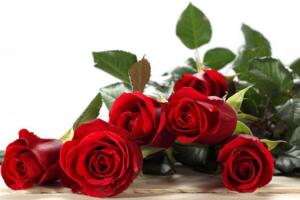 结婚送什么花合适，百合红玫瑰是最佳选择(百年好合真爱永存)