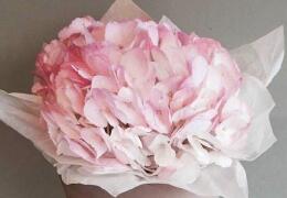 粉色绣球花图片，唯美绣球花花束