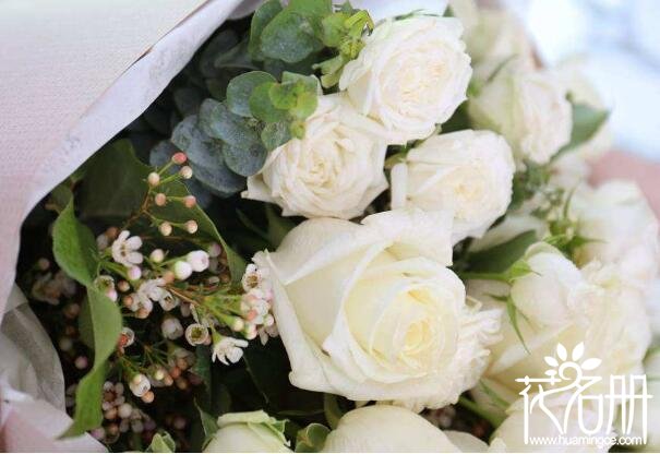 9朵白玫瑰的花语是什么，爱你如初