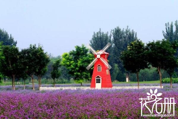 北京薰衣草庄园什么时候去最好 北京薰衣草庄园在哪里