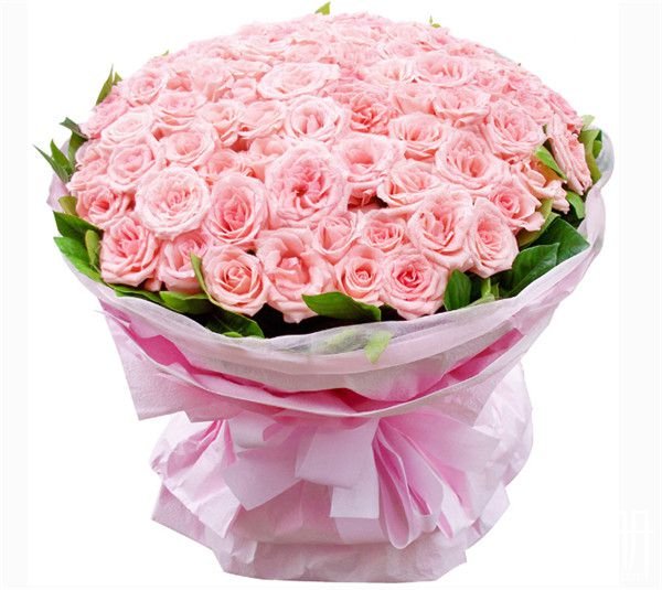 11朵粉色玫瑰花语是什么，11朵粉玫瑰代表什么（我只属于你）