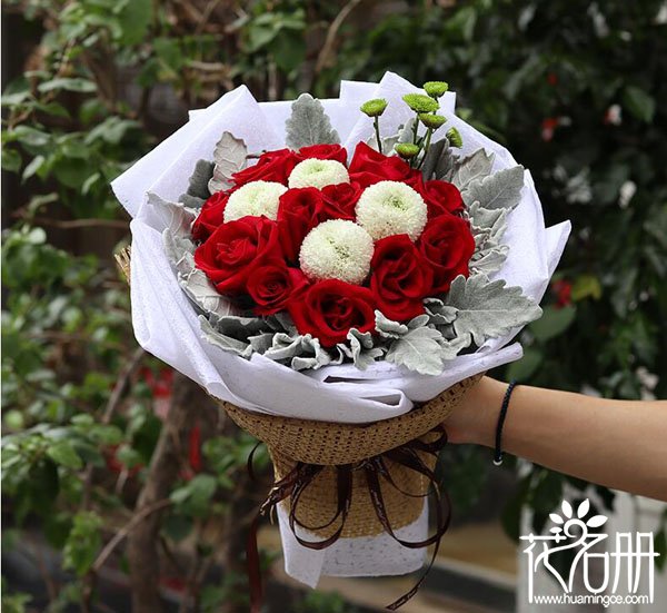 情人节送玫瑰花的由来 送玫瑰最早的真正含义(我们结束了)