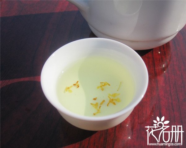 桂花茶的功效与作用，桂花茶的副作用