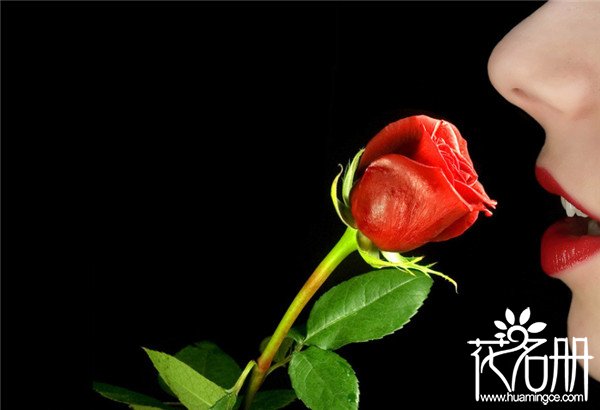 22朵玫瑰花语是什么，两情相悦