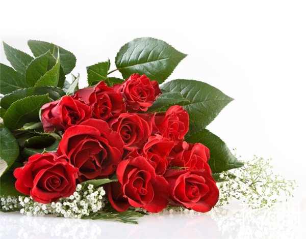 17朵玫瑰代表什么意思，绝望无可挽回的爱