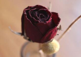 鲜玫瑰花怎么做成干花，玫瑰花变干花的5种小方法(简单易学)