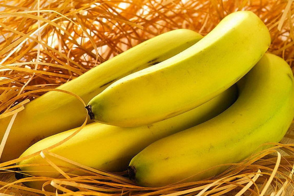 芭蕉和香蕉的区别有哪些